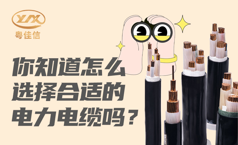 你知道怎么选择合适的小蝌蚪视频免费吗？